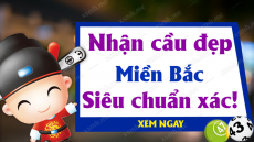 Phân tích dự đoán Xổ Số Miền Bắc ngày 08/02/2025 - Dự đoán XSMB 08-02-2025